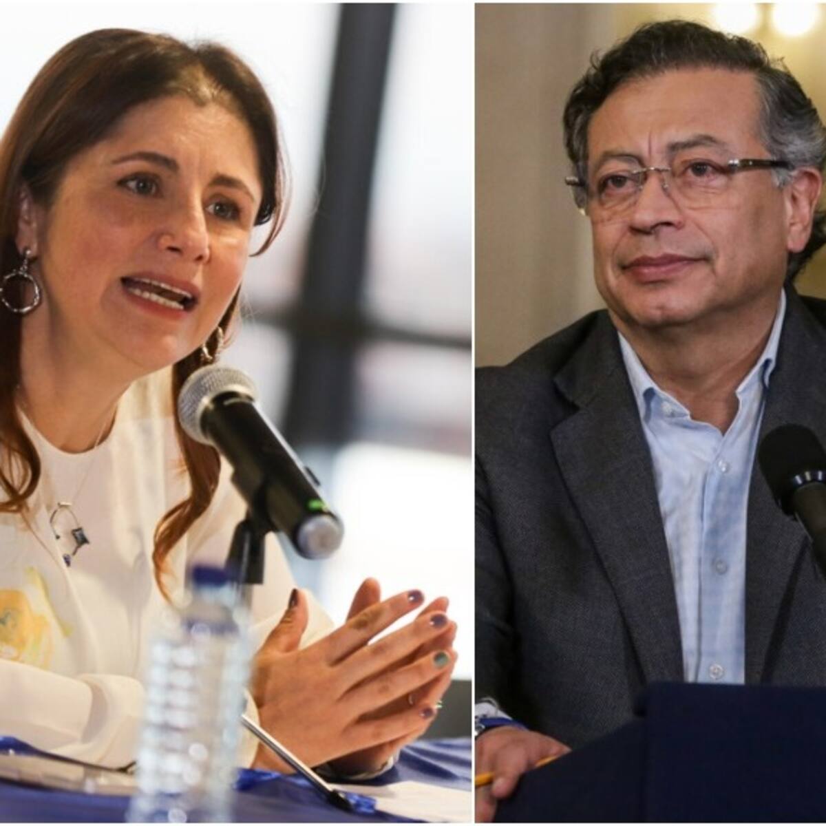 Defensora del Pueblo le pidió a Petro suspender bombardeos: se verifica si hay otros menores muertos