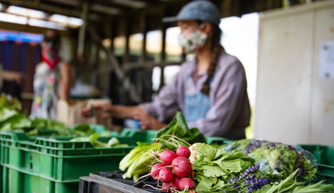 Mercado campesino. Imagen de referencia