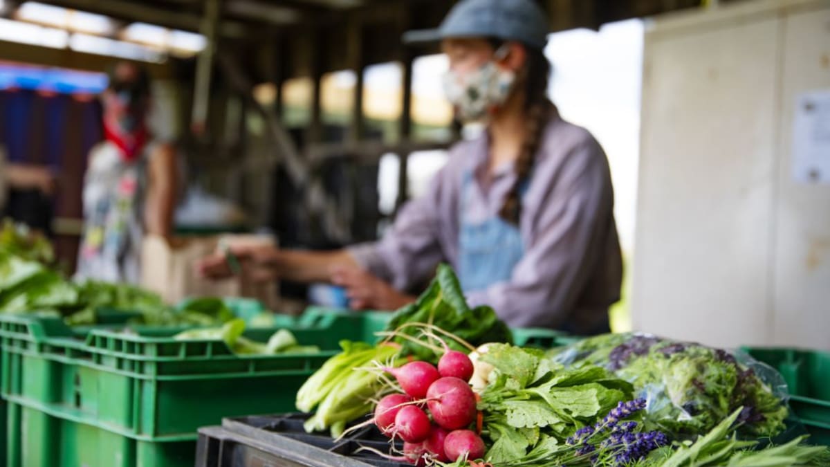 ¿Qué se acordó en el primer Foro Nacional de Plazas de Mercado en Boyacá?