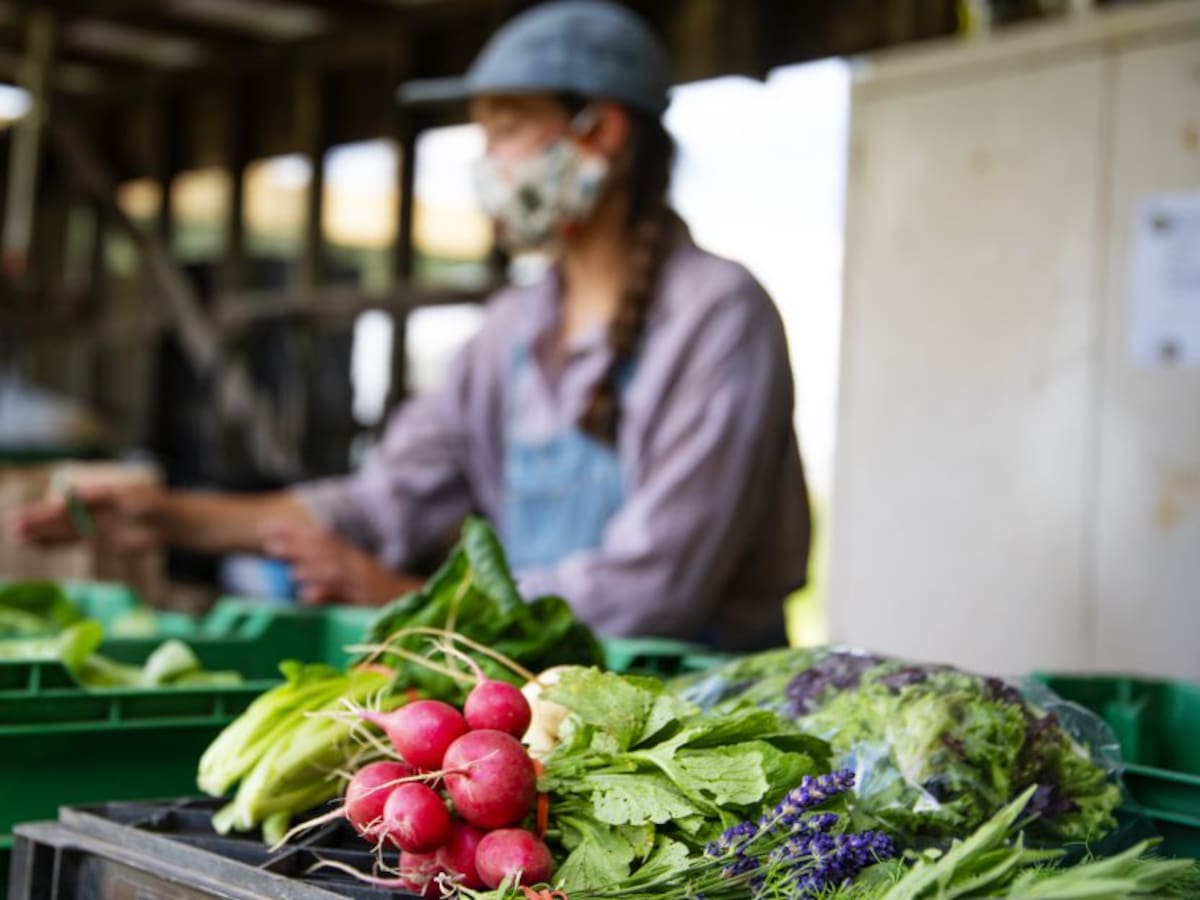¿Qué se acordó en el primer Foro Nacional de Plazas de Mercado en Boyacá?