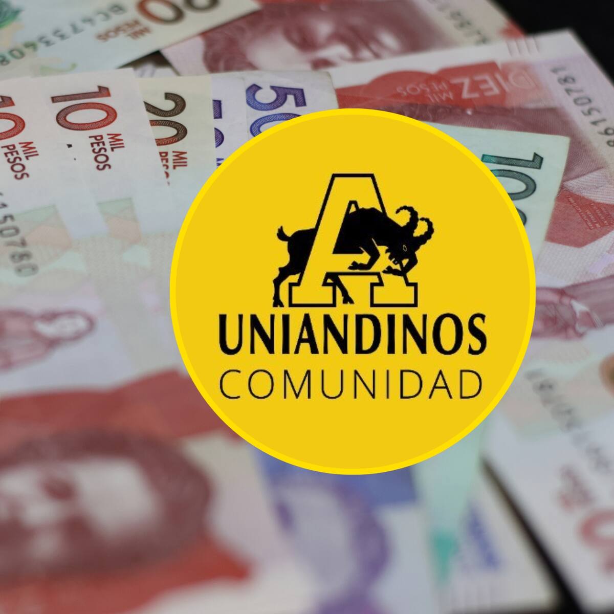 Uniandinos se suma a Vamos Pa’ Lante con mil millones de pesos: “Es muy satisfactorio contribuir”