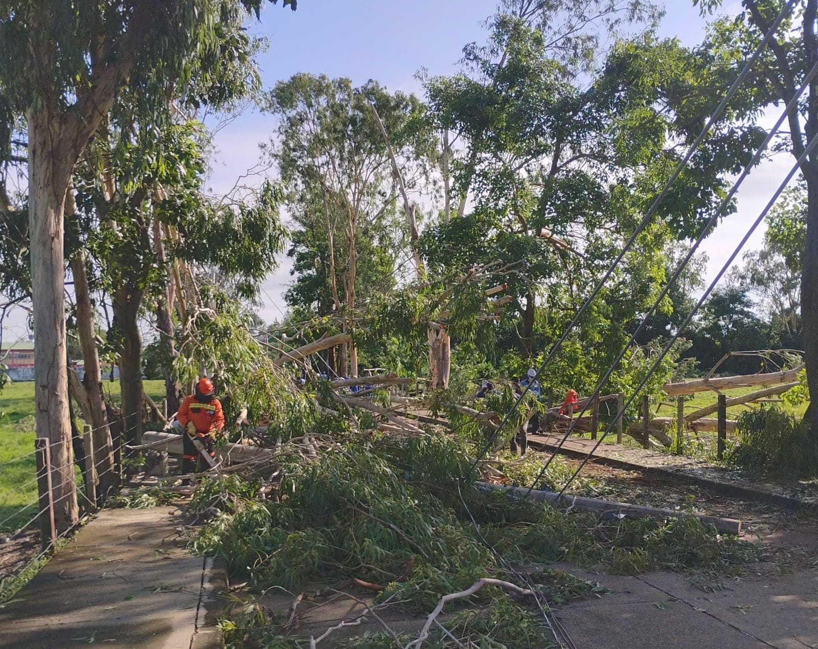 Emergencia en Montelíbano, Córdoba: vendaval dejó cerca de 300 viviendas destechadas. Foto: prensa Afinia.