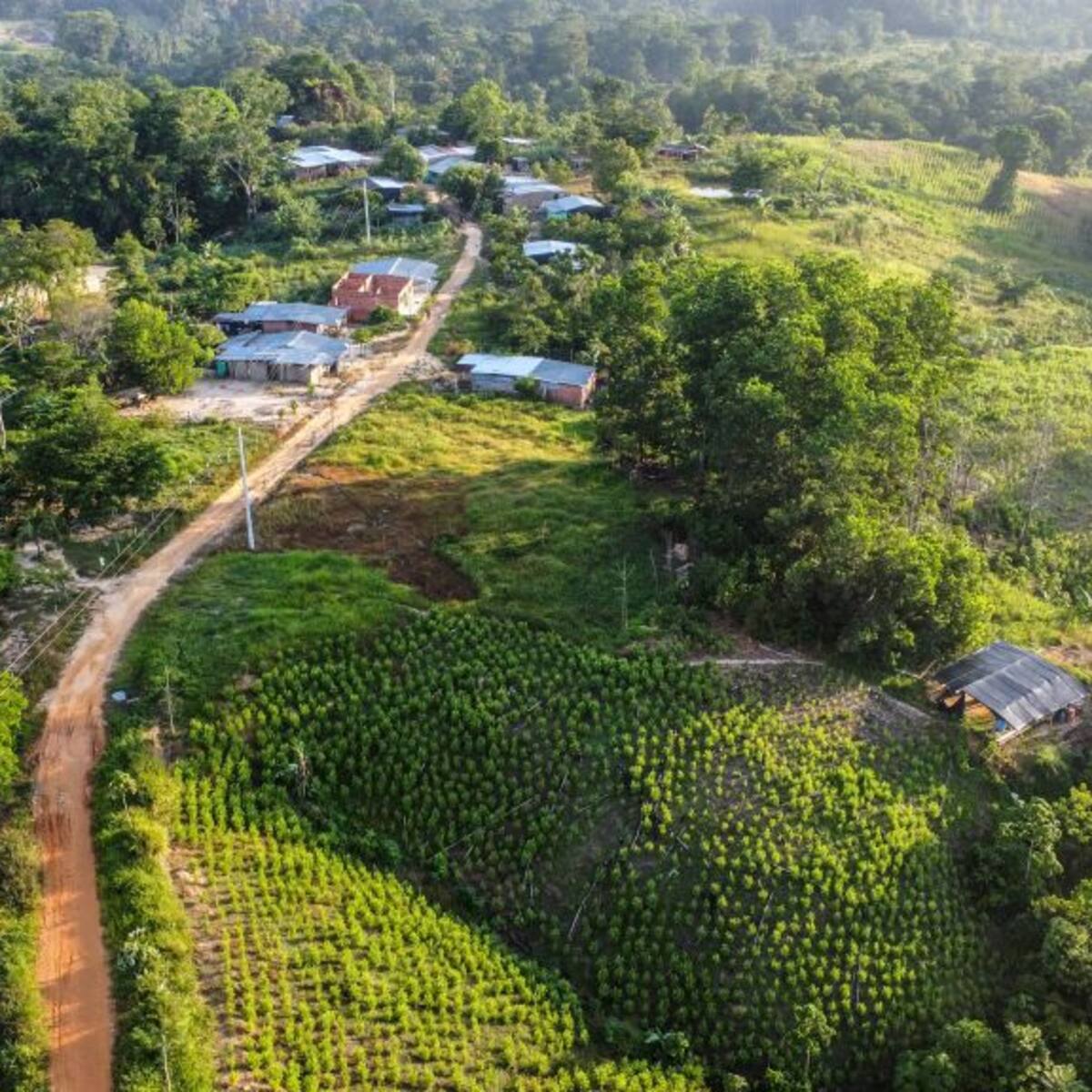 Situación en Catatumbo: Disidencias de alias ‘Calarcá’ no han respondido a los ataques del ELN