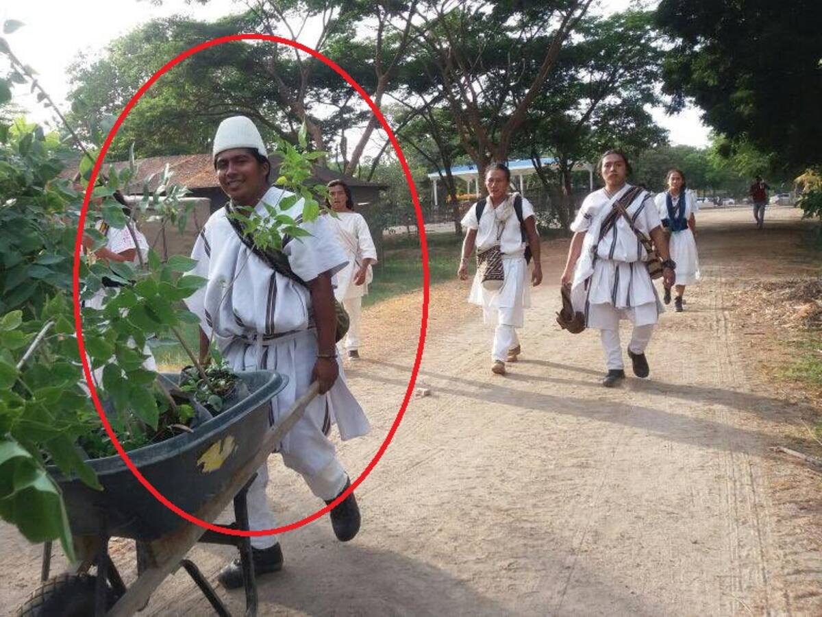 Wilfrido era apasionado por la ciencia, las matemáticas y el arte: rector de U. Magdalena
