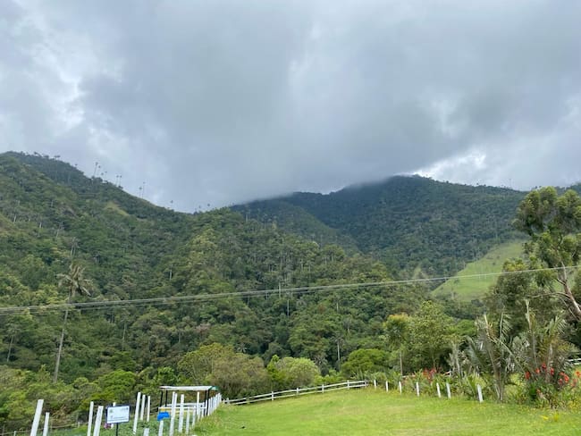 Hermoso paisaje del Valle de Cocora en Salento, Quindío Foto: Vanessa Porras