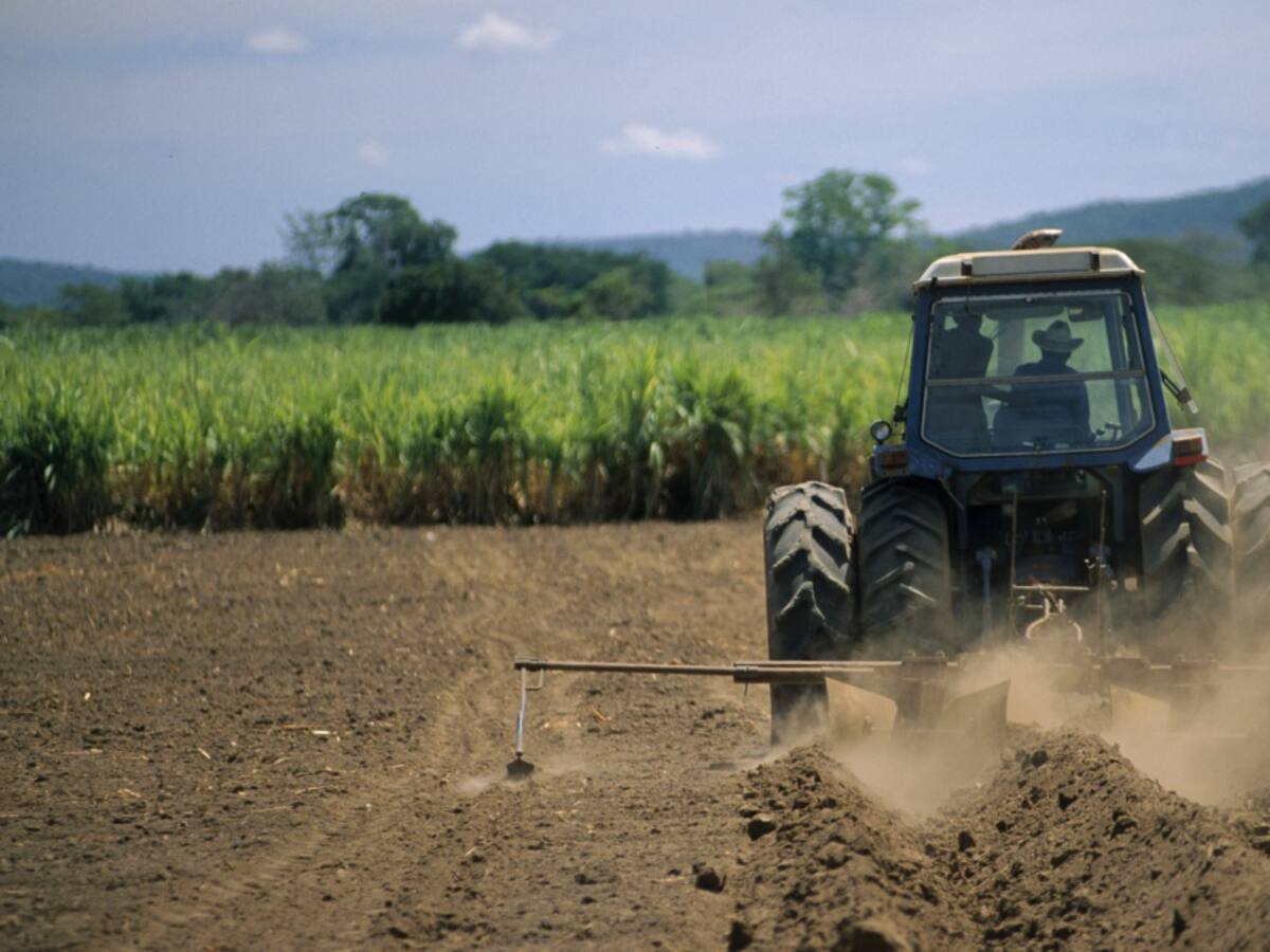 El Ministerio de Agricultura frena créditos para grandes agricultores