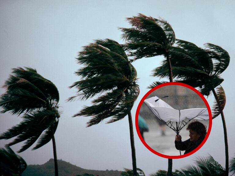 Imagen de referencia: palmeras durante un vendaval / Getty Images // persona con una sombrilla dañada / Alvaro Ballesteros - Getty Images