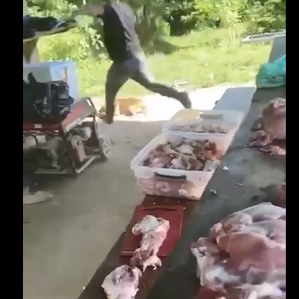 ¡Indignación en Antioquia! Un hombre fue grabado golpeando de manera despiadada a un perrito