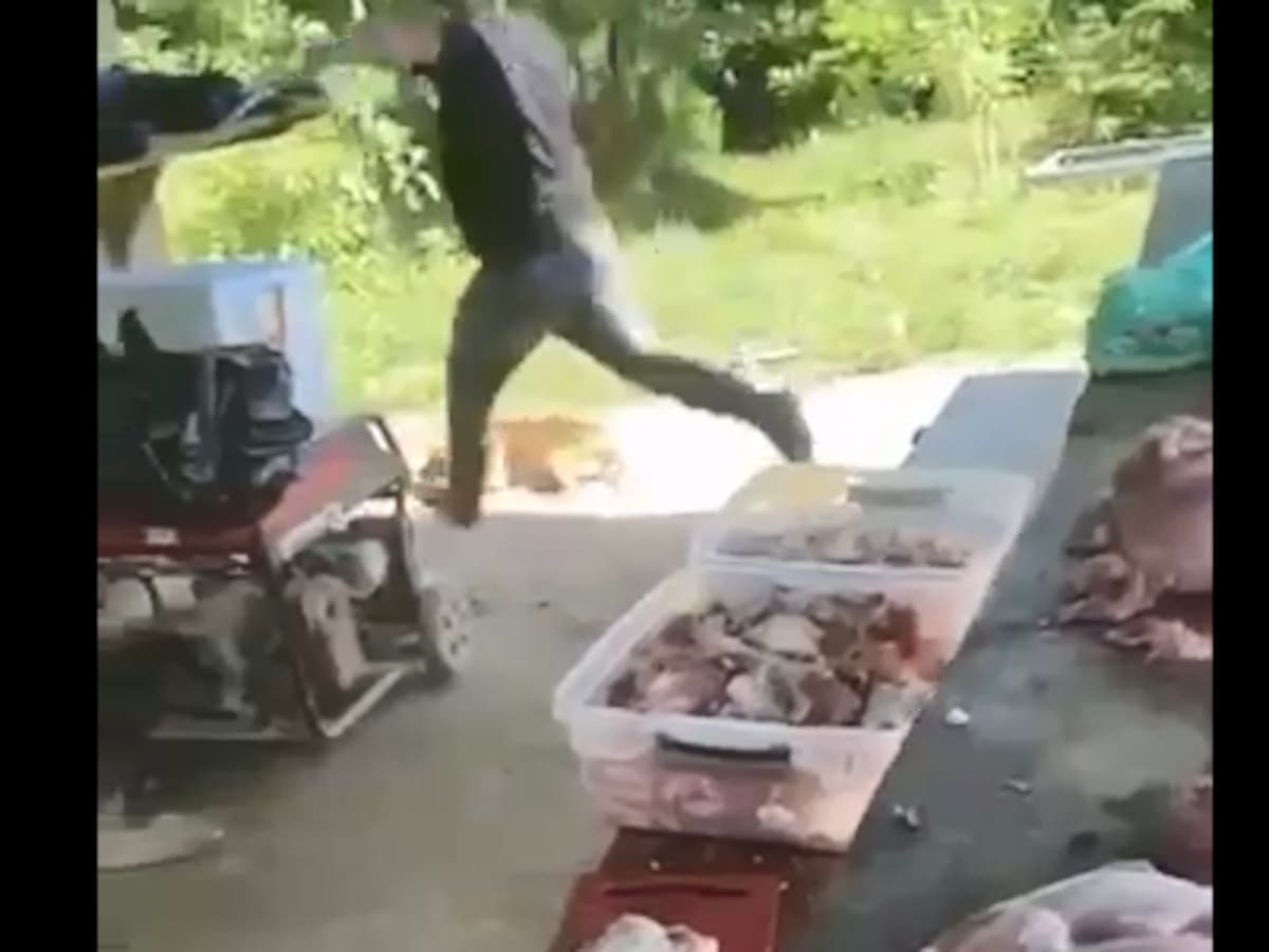 ¡Indignación en Antioquia! Un hombre fue grabado golpeando de manera despiadada a un perrito