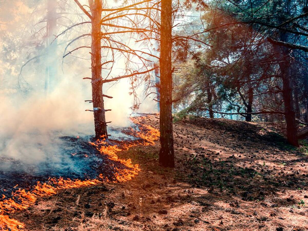 Evite quemas a cielo abierto y siga recomendaciones para prevenir incendios