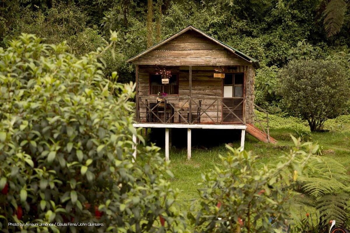En estas piscinas termales, ubicadas en Santa Rosa de Cabal, se sentirá el placer del calor y las sales naturales; más que entretenimiento proporciona salud y bienestar.
