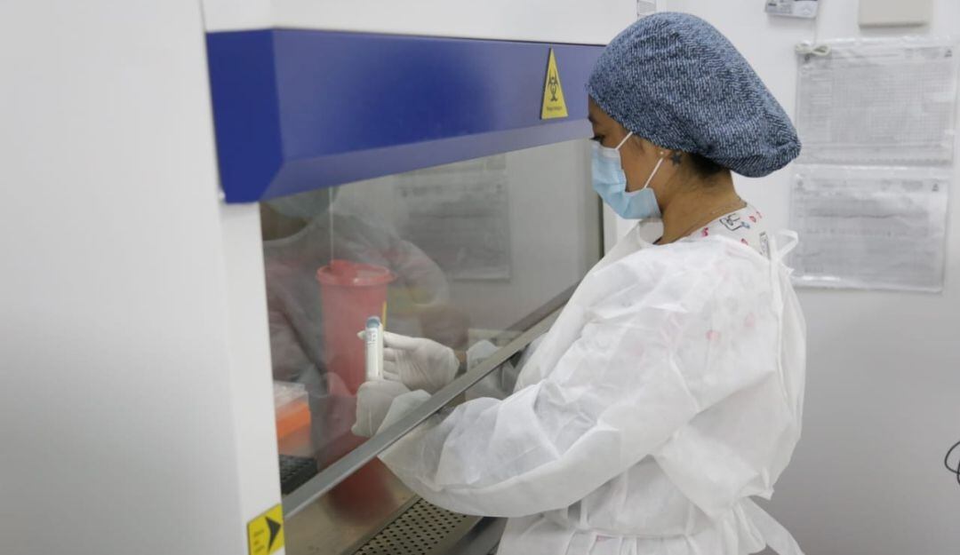 Laboratorio Molecular 