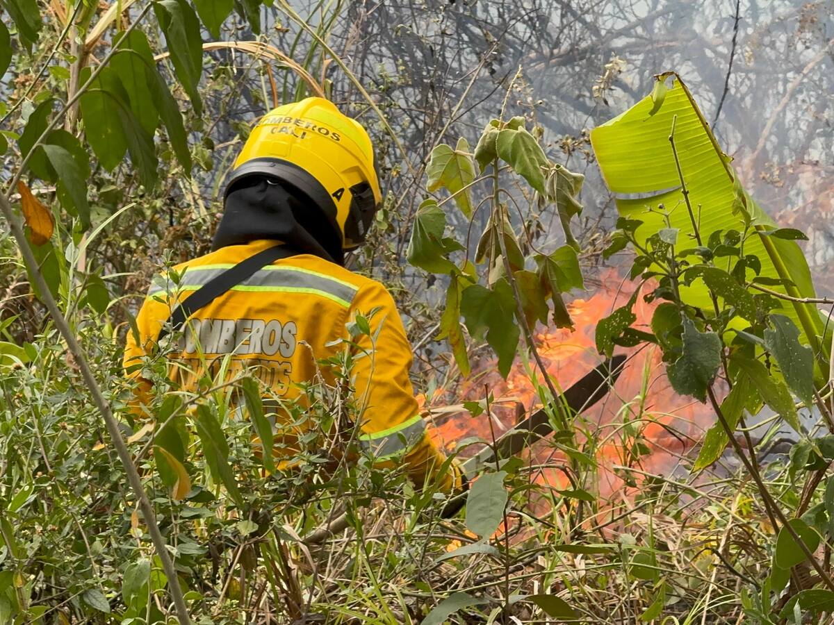 Emergencia por incendio forestal en el corregimiento Los Andes, vía a Pichindé, en Cali