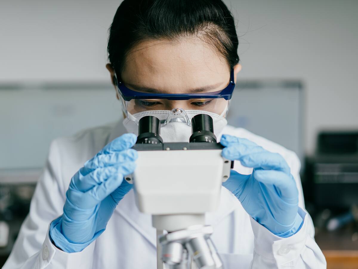 Virus humanos se transmiten más a los animales, que al contrario, según estudio