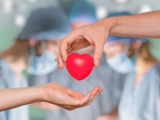 Imagen de referencia