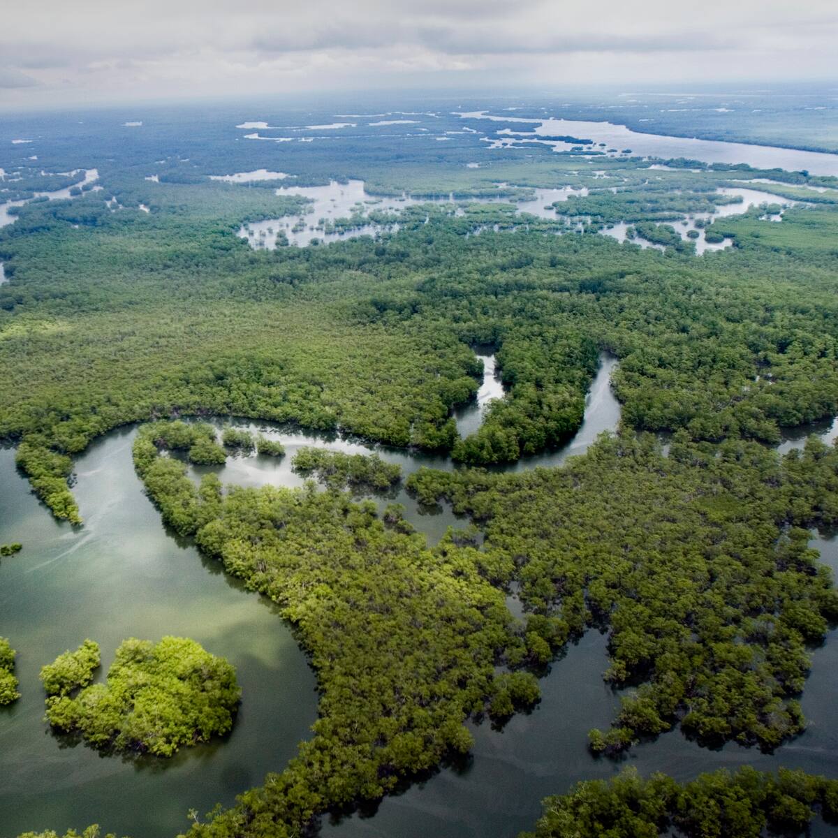 ¿Qué es el Macizo Colombiano y dónde está ubicado? 3 vías aéreas y terrestres para llegar