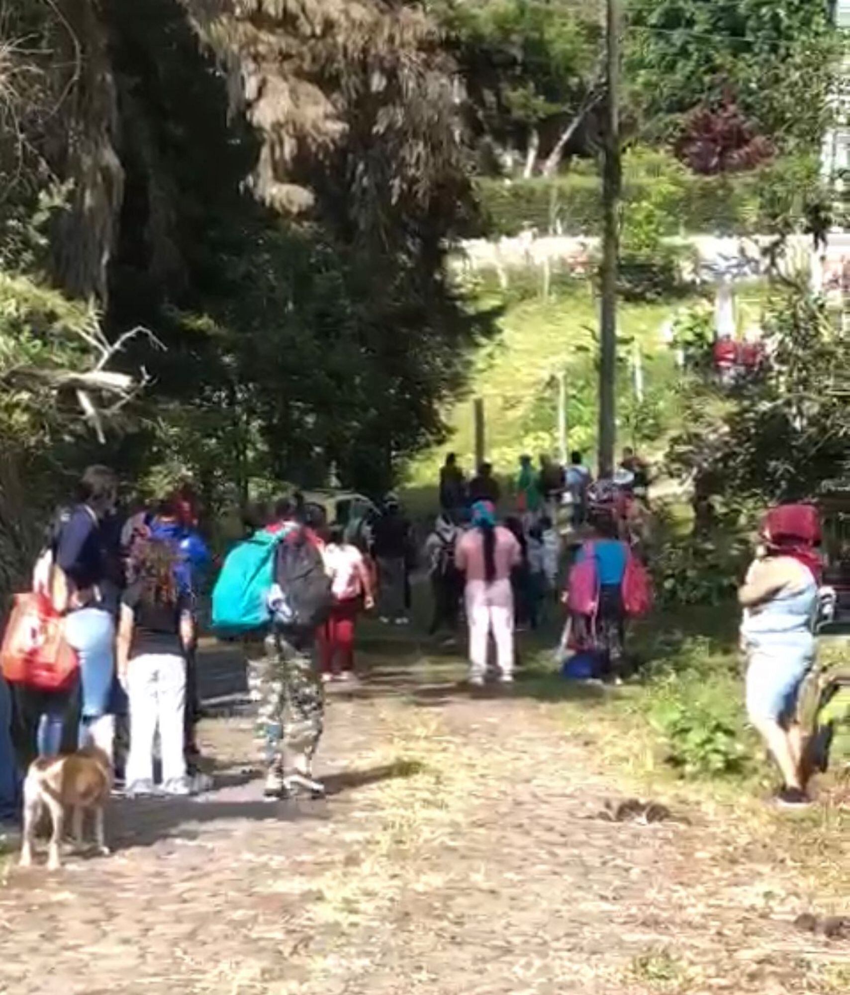 Hasta el momento se desconoce qué comunidad está detrás de la acción arbitraria sobre el predio que brinda atención integral a alrededor de 230 animales. Foto: Cortesía.