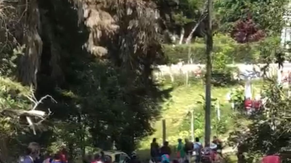150 personas ingresaron con machete: alcaldesa de Dagua, sobre invasión a predio