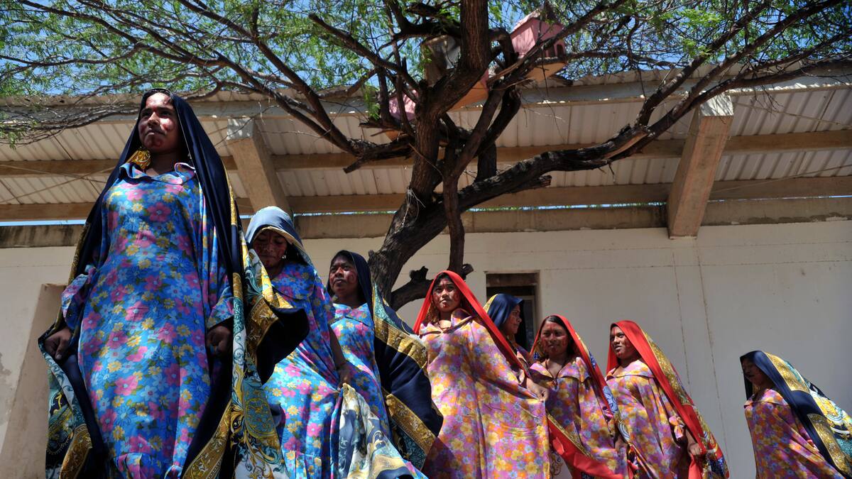 Comunidades wayuu advierten crisis en salud por medida de la Nueva EPS