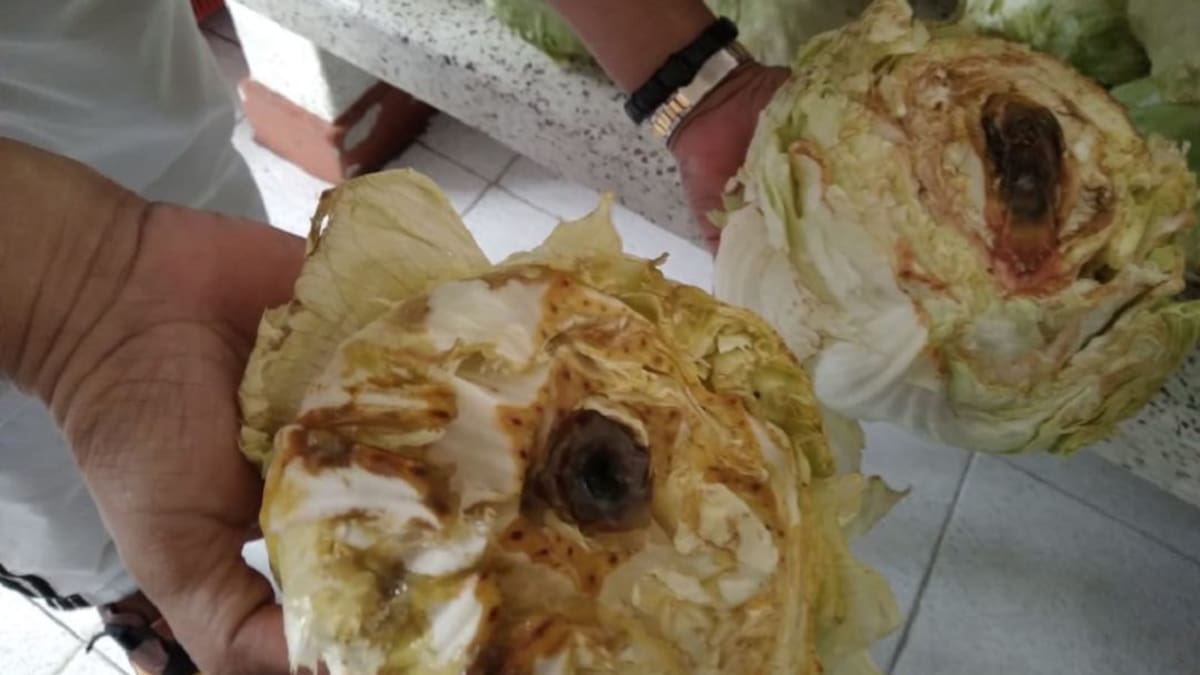 Diego Fernando Mosquera , Presidente asociación directivos docentes, Quindío