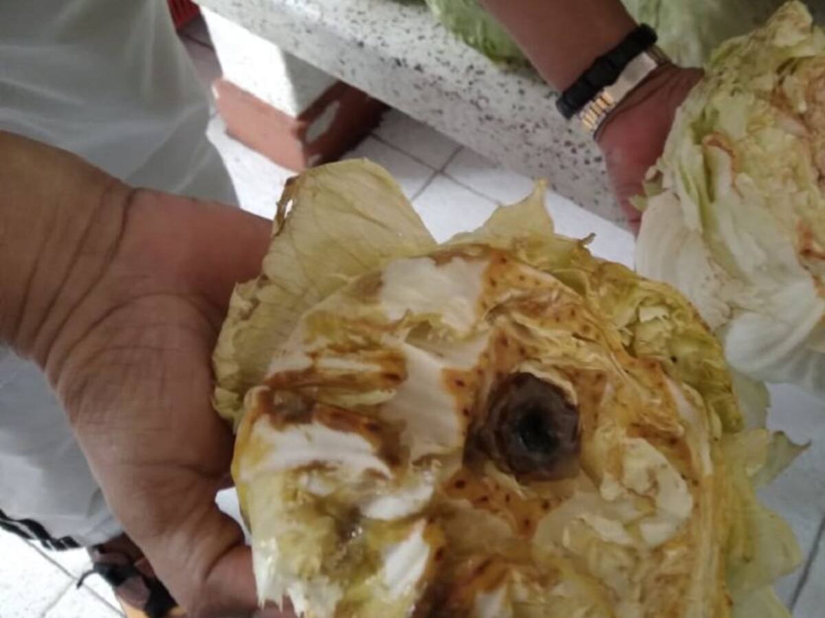 Rectores no podiamos callar incumplimientos del operador del PAE, Quindío