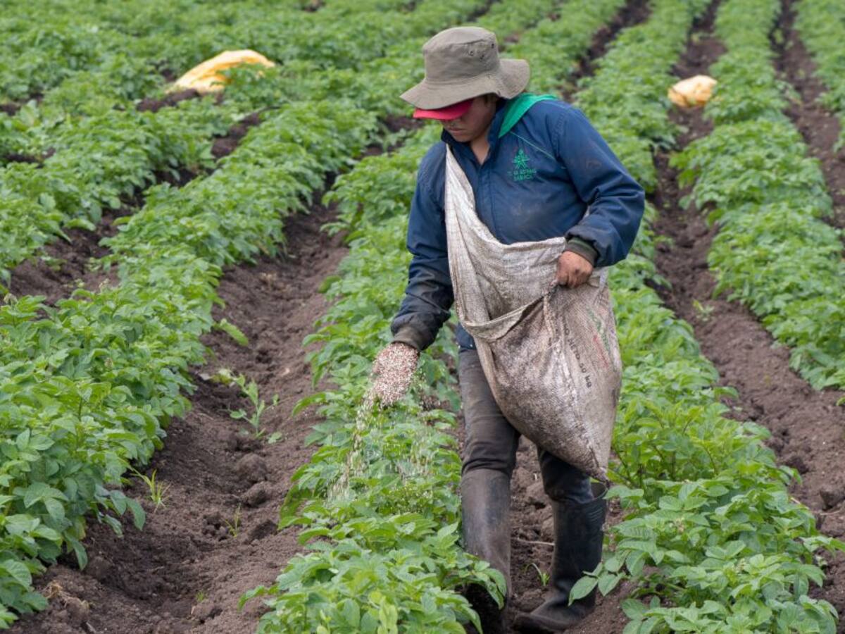 Comfama ha recibido 139 solicitudes para créditos a agroempresas