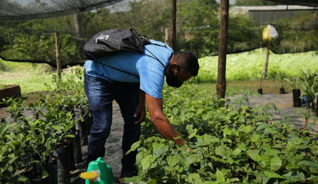 El anuncio lo hizo Corpovive porque no se han entregado las contrapartidas correspondientes, que ascienden a 103 millones de pesos.