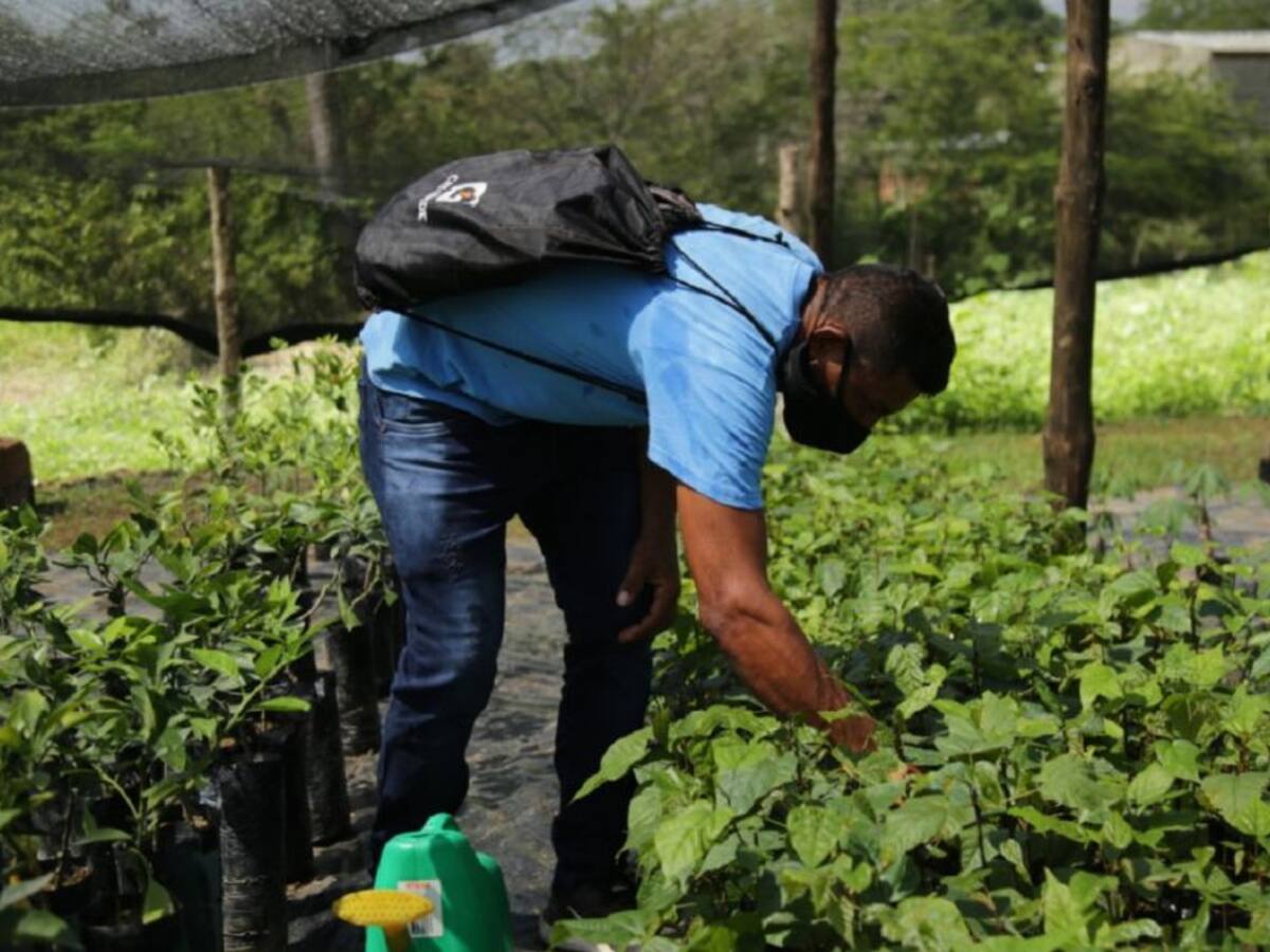 Proyecto agro que beneficia a víctimas podría no terminar de ejecutarse