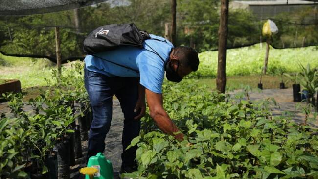 El anuncio lo hizo Corpovive porque no se han entregado las contrapartidas correspondientes, que ascienden a 103 millones de pesos.