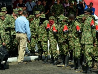 Desmovilizados del ELN. Foto: Ministerio de Defensa