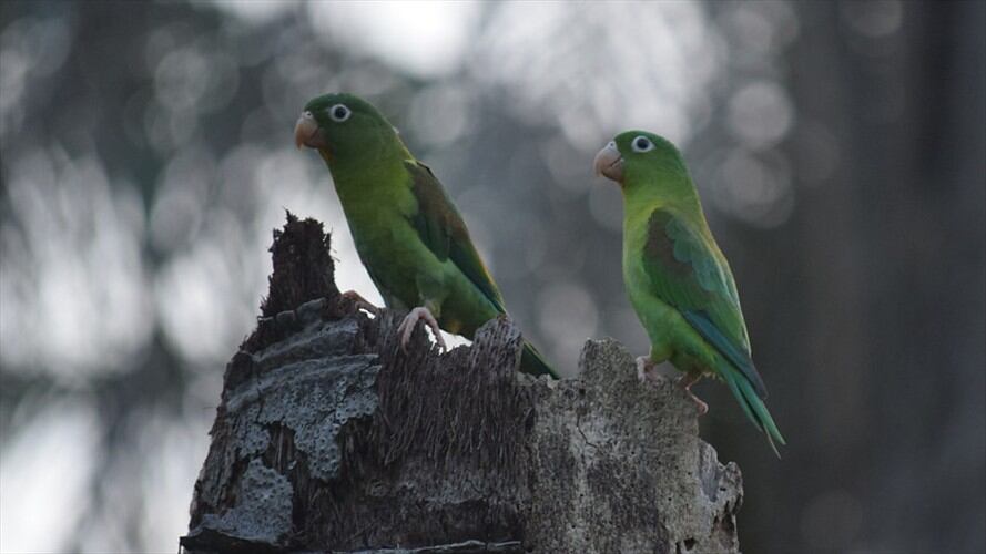 Imagen de referencia. Foto: Colprensa