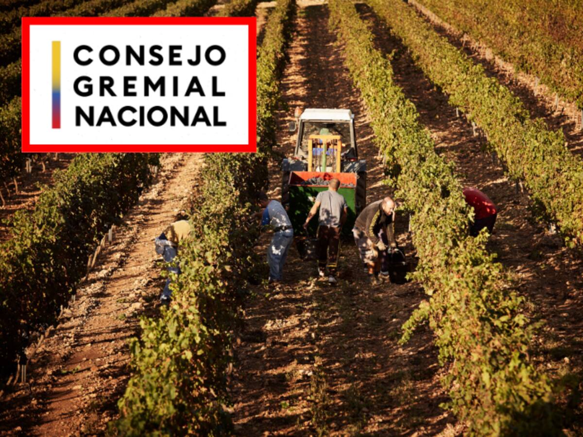 Consejo Gremial rechaza resolución que afecta la autonomía y libertad del sector agro del país