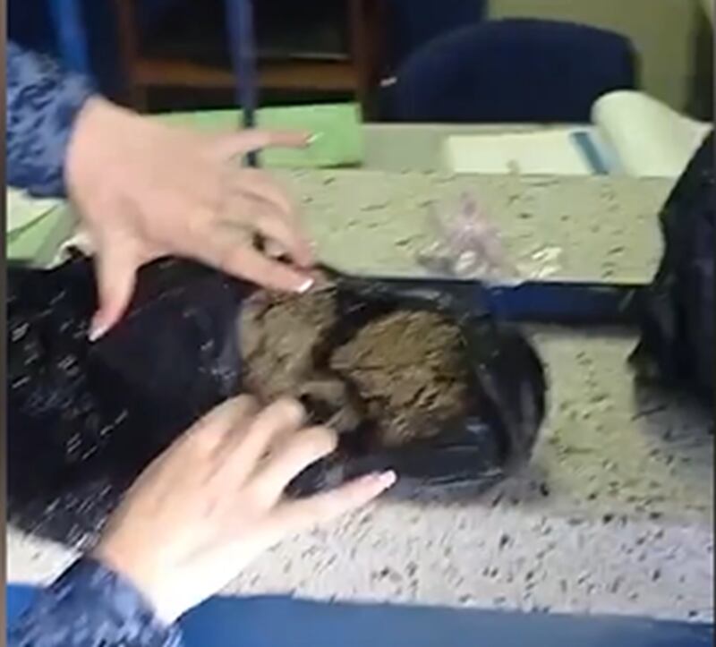 Crédito: Fiscalía Seccional Caldas.