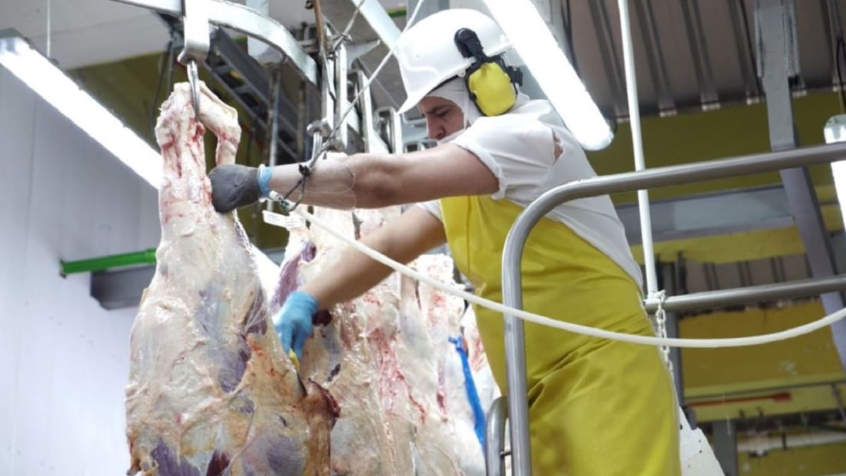 El consumo de carne de res en Colombia alcanza los 18,4 kilos por habitante