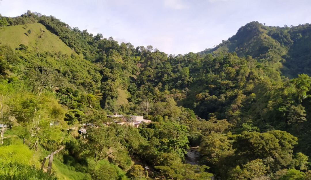 Paisaje del municipio de Chaparral.