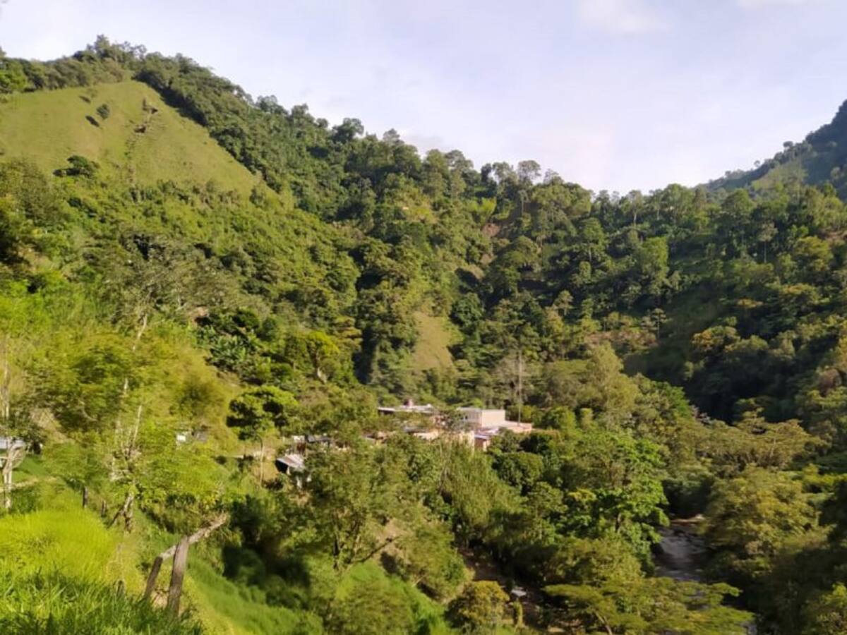 ¿Qué pasa con la seguridad en el Sur del Tolima?