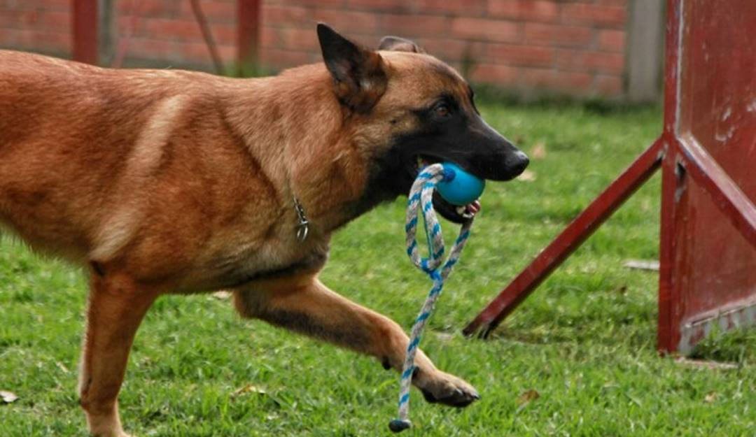 Imagen de referencia / Archivo Colprensa