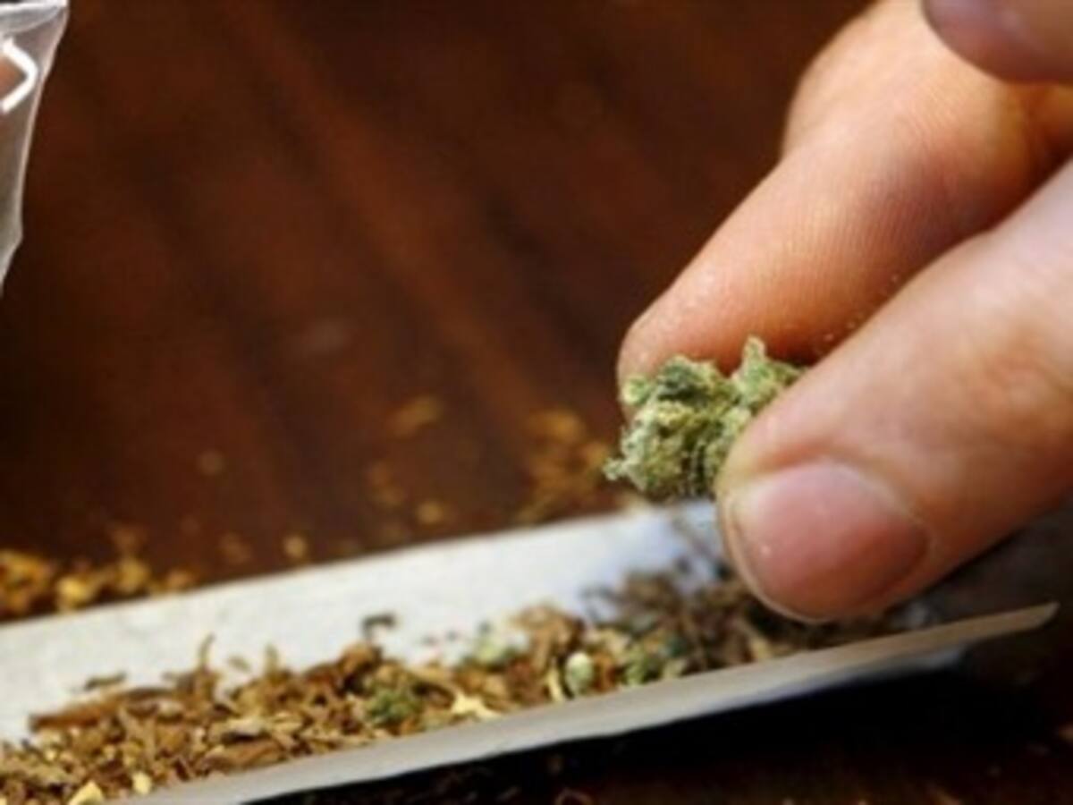 EEUU teme infiltración de narcos en mercado de marihuana en Uruguay