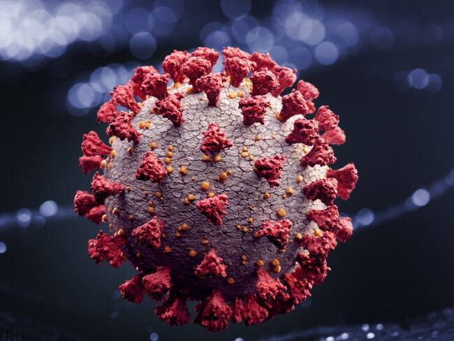 Inteligencia de EE.UU. dice que coronavirus no fue creado por el hombre