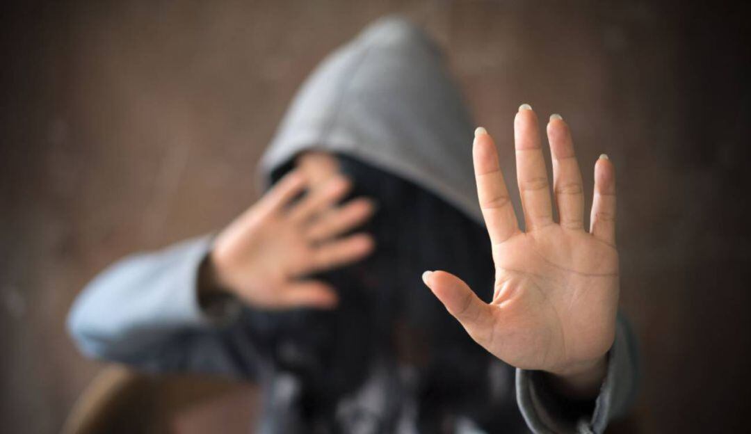 Imagen de referencia 