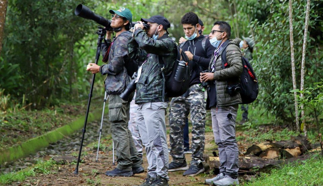 Avistamiento de aves 