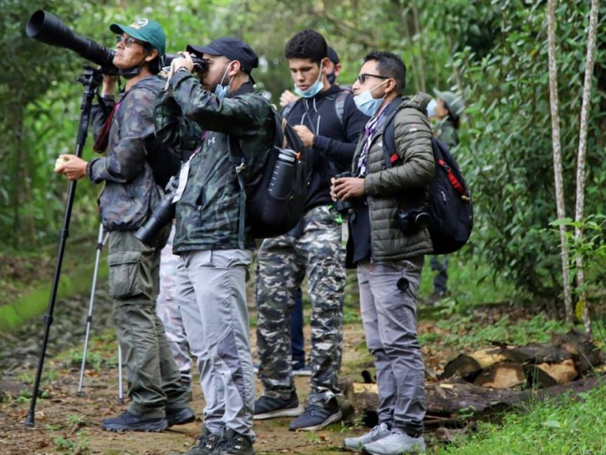 Empieza la temporada de avistamiento de aves en Manizales