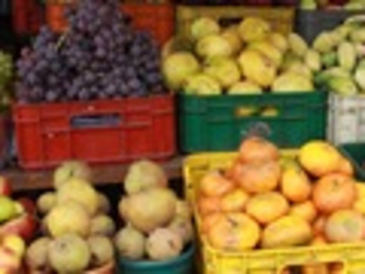 ¿Qué alimentos no come para prevenir él cáncer?
