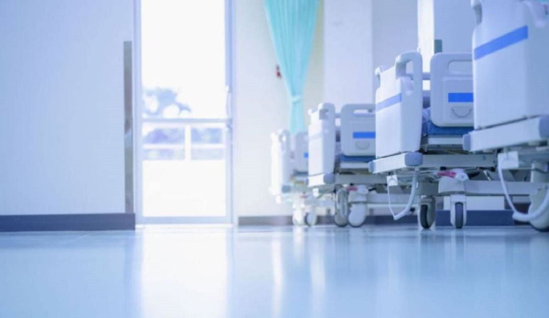 Imagen de referencia