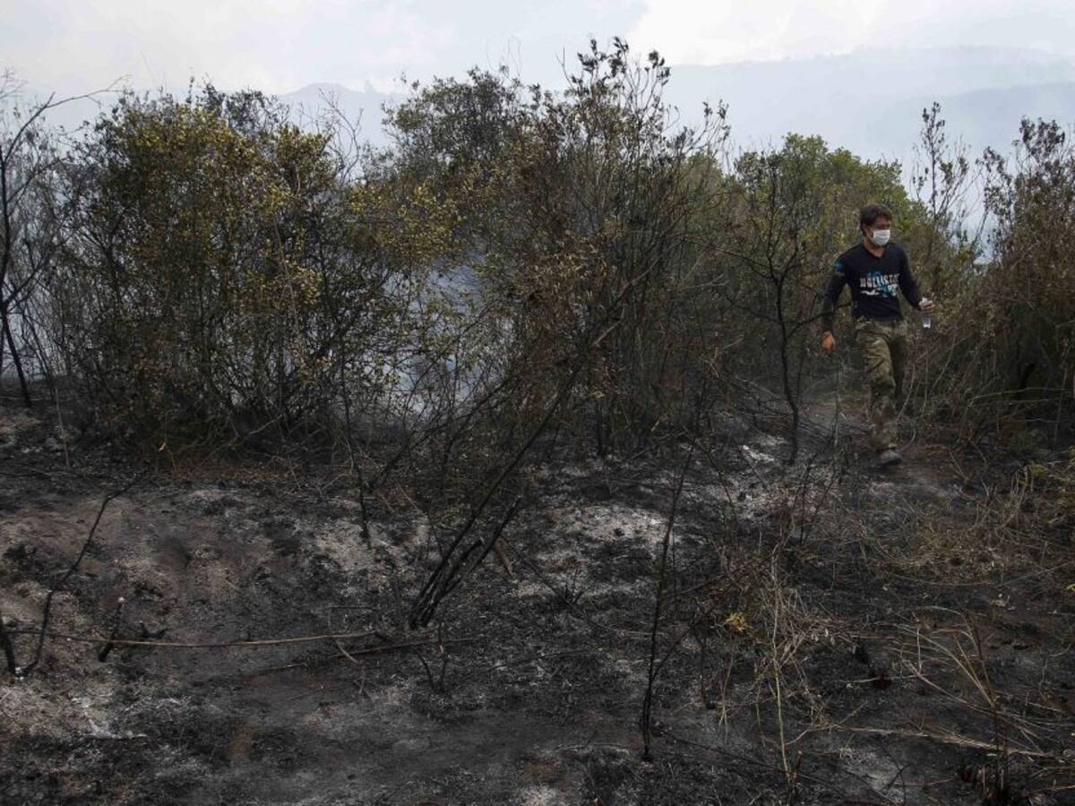 Incendio forestal en El Carmen de Bolívar causa daños en unas 50 hectáreas