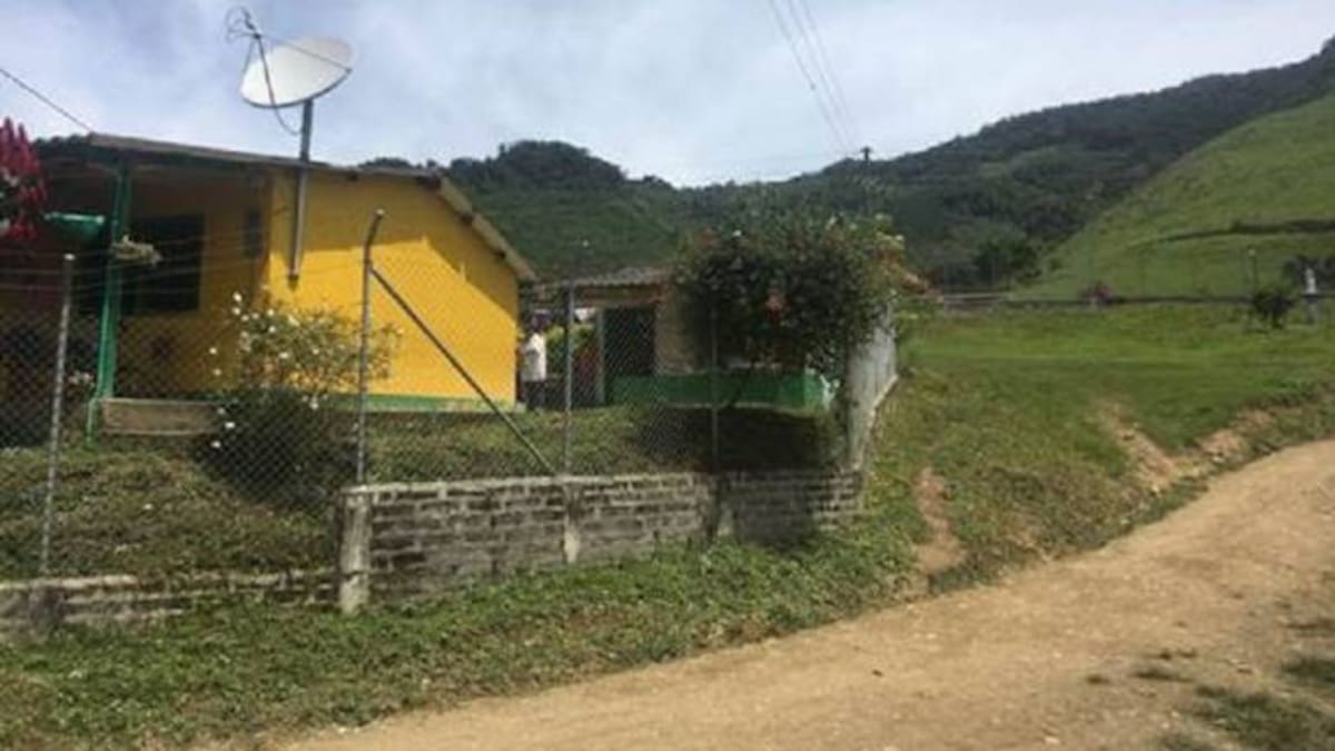 Veredas Llanogrande, en Dabeiba, son los sitios de concentración de las Farc