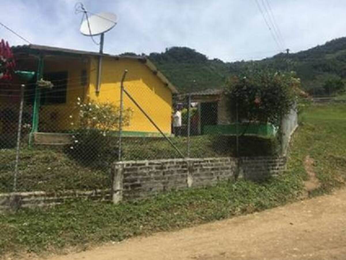 Veredas Llanogrande, en Dabeiba, son los sitios de concentración de las Farc