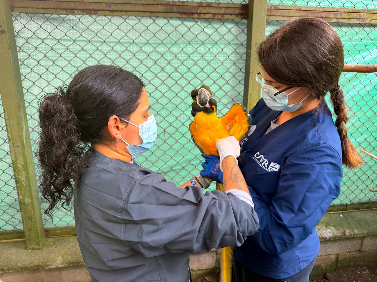 Foto: Alcaldía de Medellín