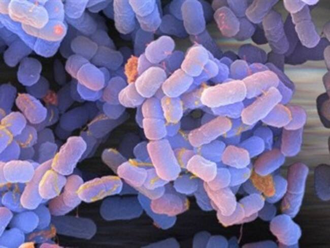 Hallan bacteria con más de 30.000 años de antigüedad capaz reproducirse en el espacio