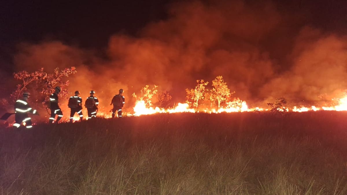 A la fecha hay 31 incendios forestales activos en el país, las autoridades están en alerta